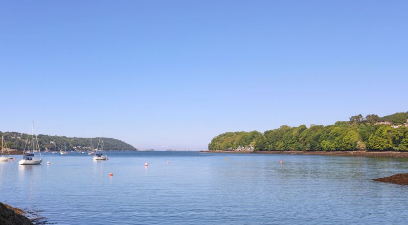 Photo of Ynys Castell