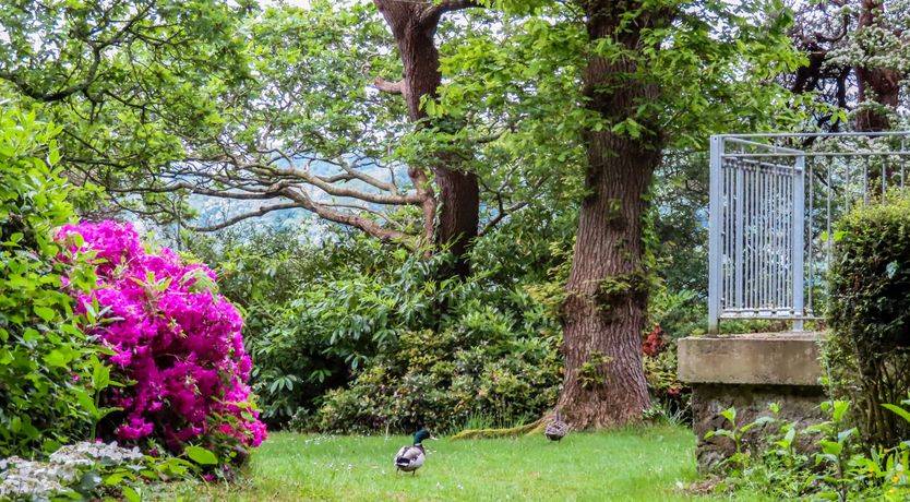 Photo of Ynys Castell