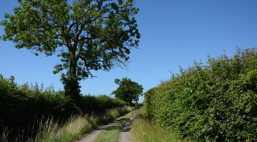 Photo of Carriage House, Bruisyard
