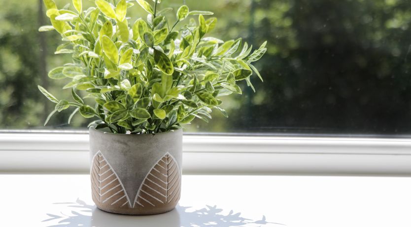 Photo of Foulsyke Farm Bungalow