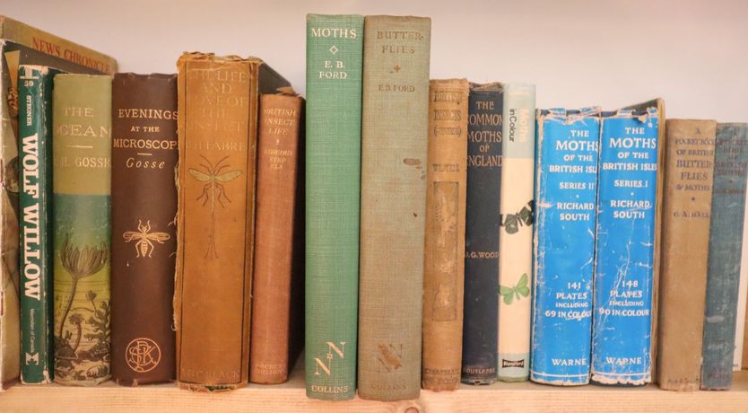 Photo of Warren Cottage