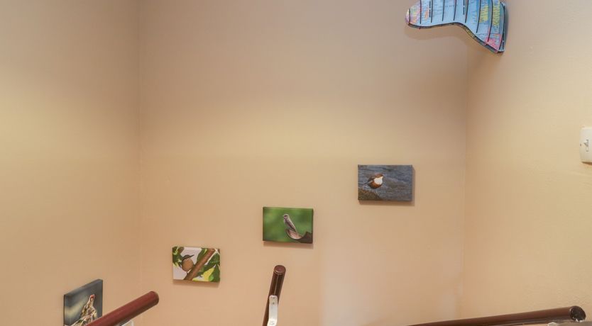 Photo of Fellside View