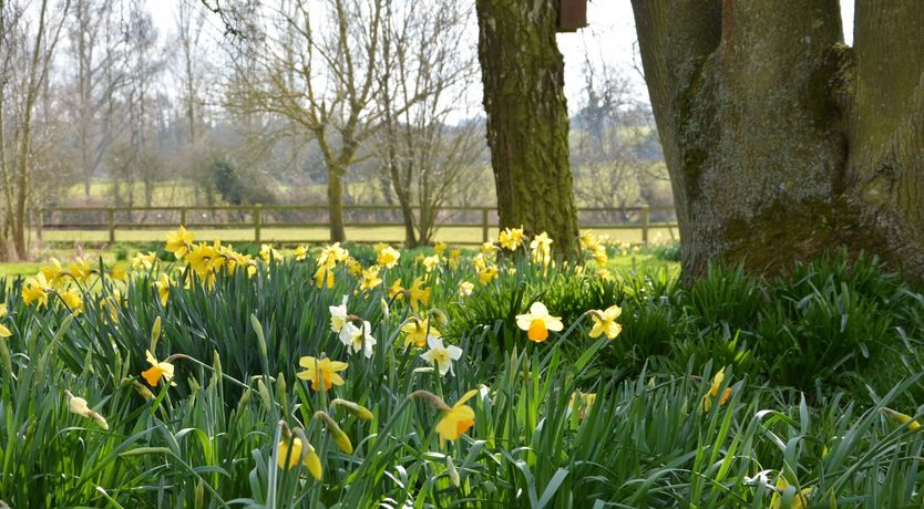 Photo of Bird Cottage, Burgh