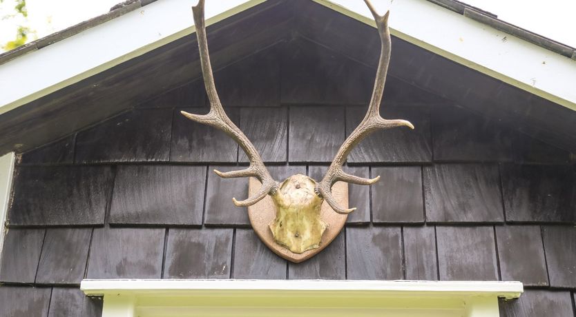 Photo of Henllys Lodge