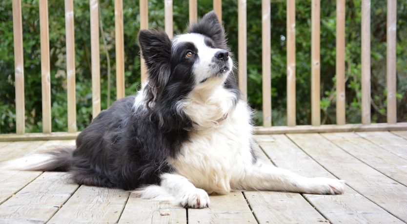 Photo of Yew Tree Farm Stable, Worlingworth