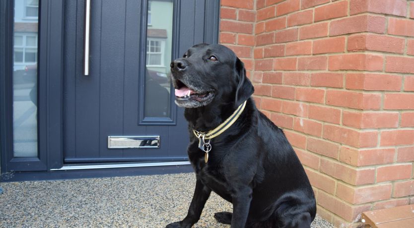 Photo of Salt Marsh House, Southwold