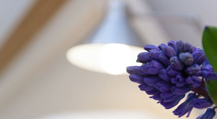 Photo of Surf and Sand