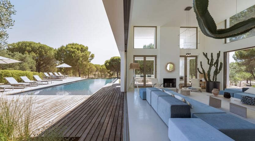 Photo of Finesse in the Forest