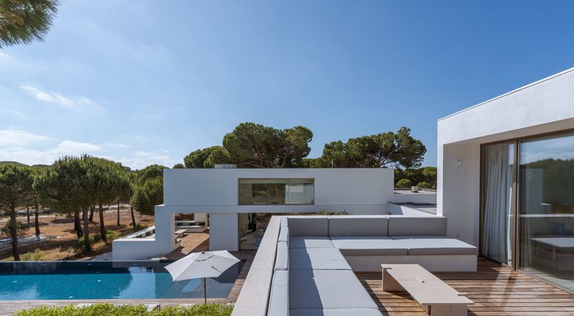 Photo of Finesse in the Forest