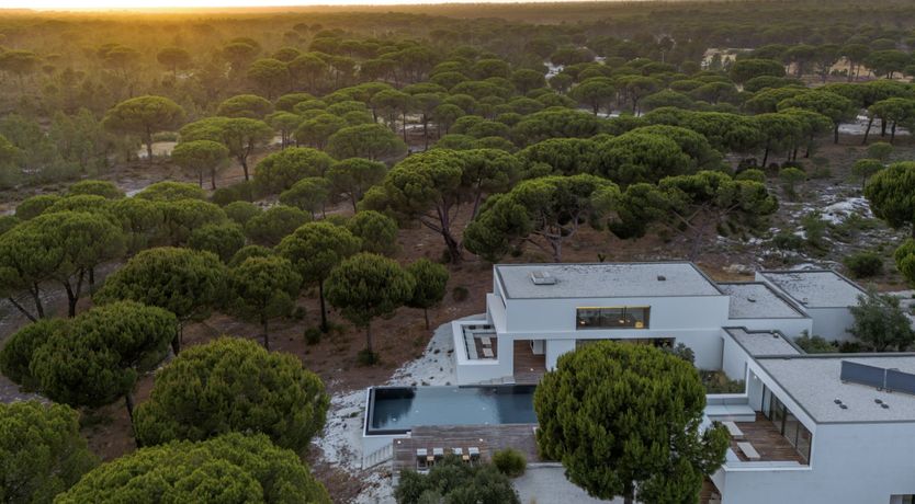 Photo of Finesse in the Forest