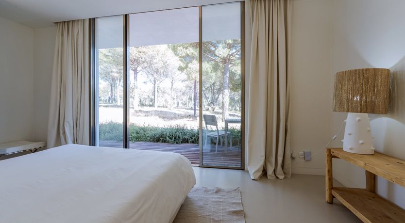 Photo of Finesse in the Forest