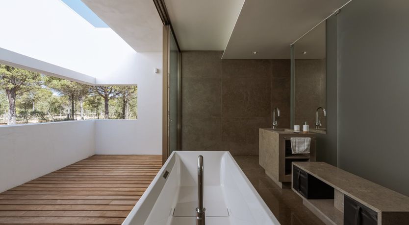 Photo of Finesse in the Forest