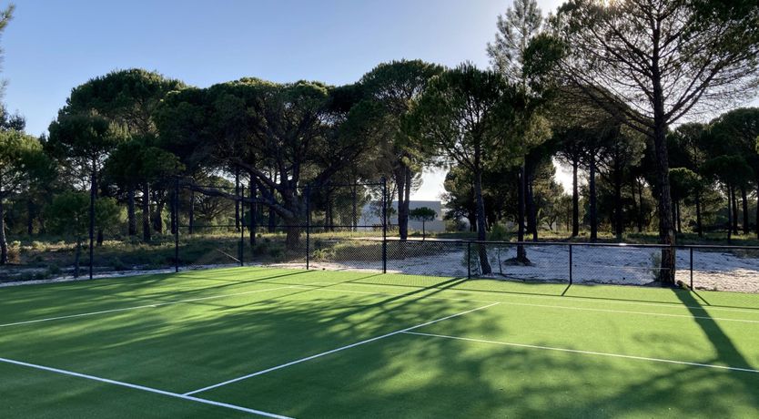 Photo of Finesse in the Forest