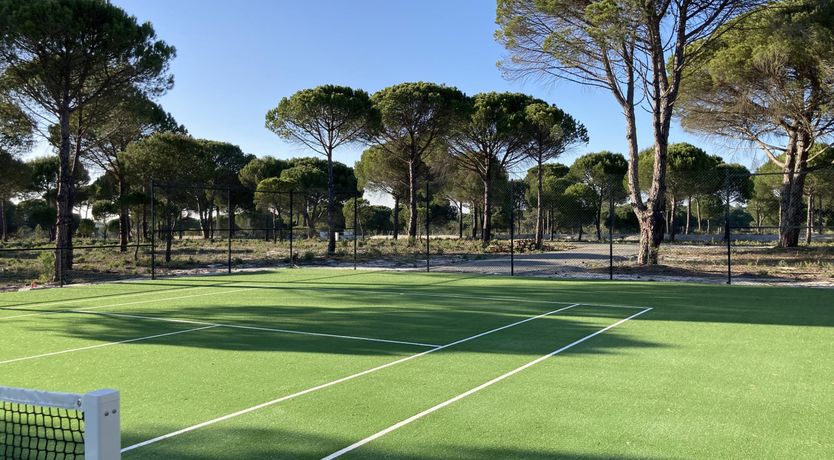 Photo of Finesse in the Forest