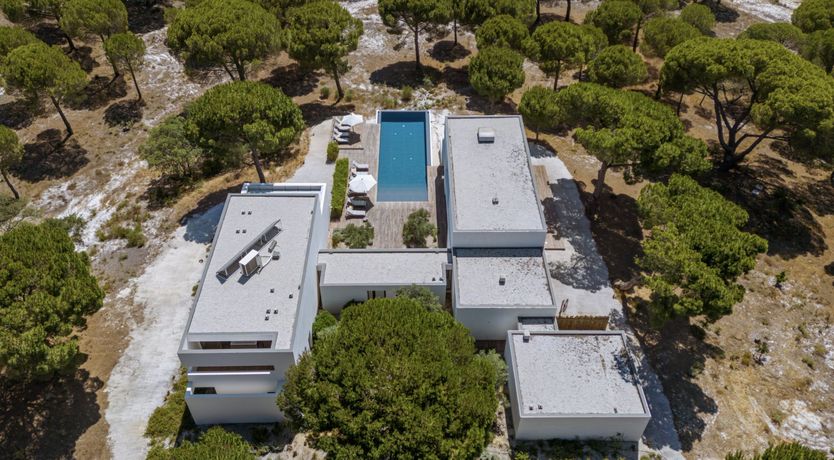 Photo of Finesse in the Forest