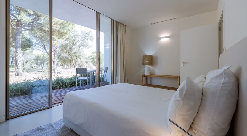 Photo of Finesse in the Forest