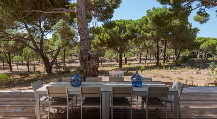 Photo of Finesse in the Forest