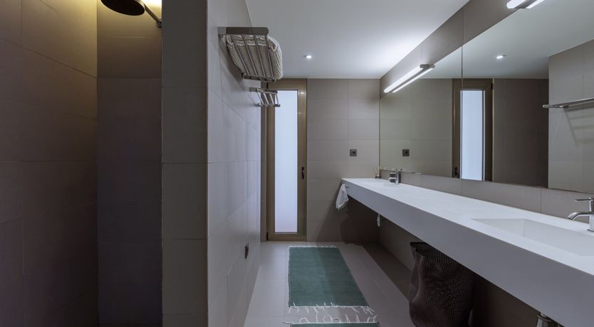 Photo of Finesse in the Forest