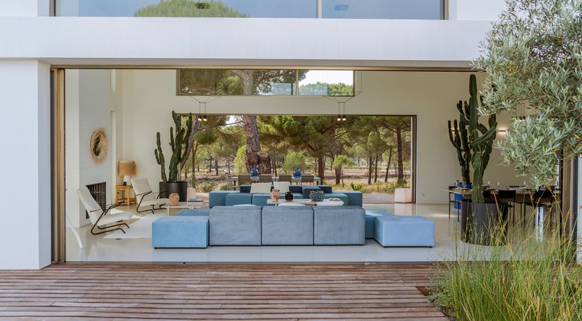 Photo of Finesse in the Forest