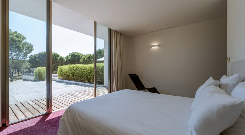 Photo of Finesse in the Forest