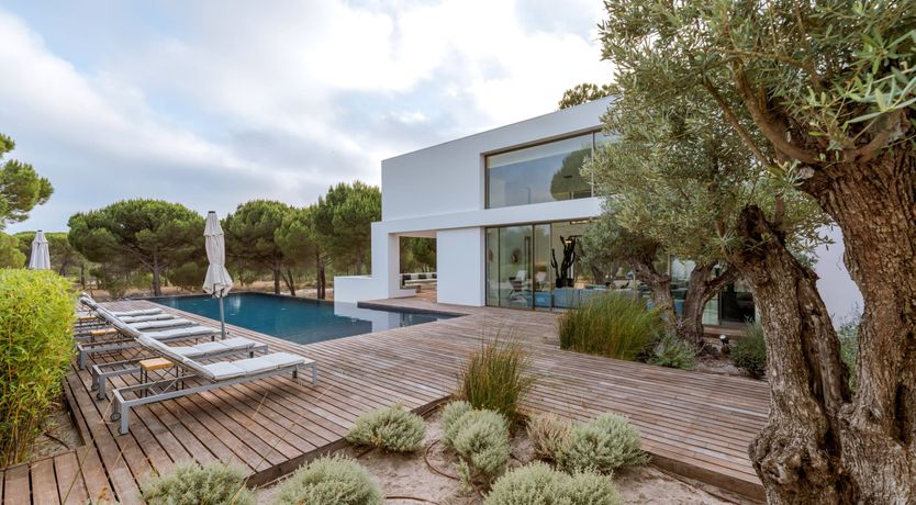 Photo of Finesse in the Forest