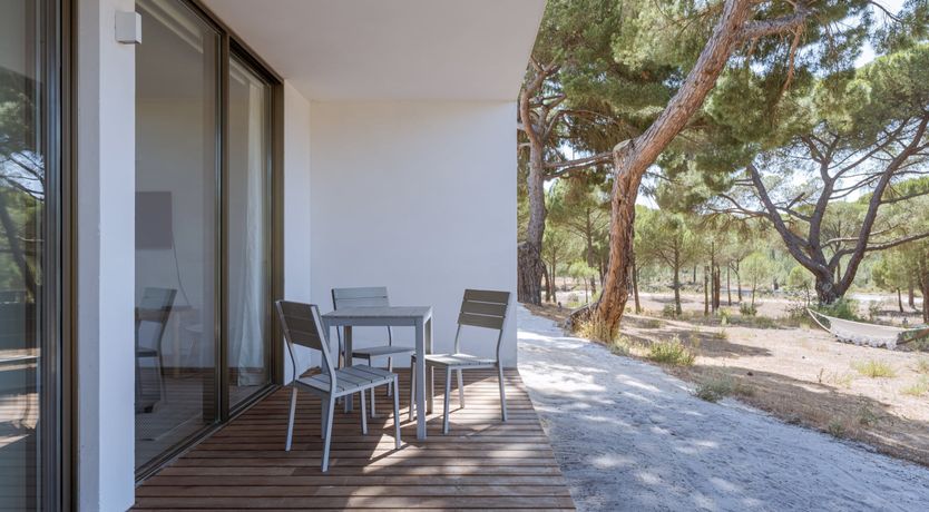 Photo of Finesse in the Forest