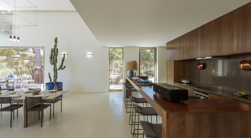 Photo of Finesse in the Forest