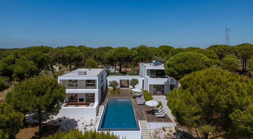 Photo of Finesse in the Forest