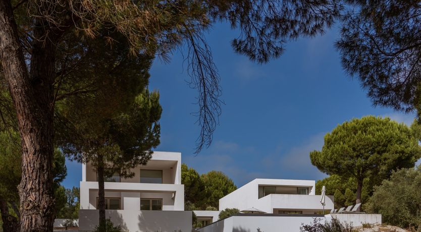 Photo of Finesse in the Forest