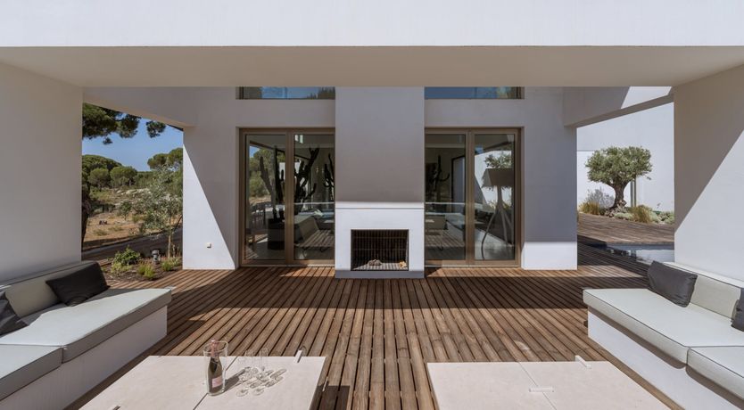 Photo of Finesse in the Forest