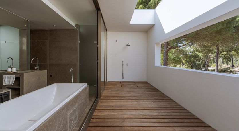 Photo of Finesse in the Forest