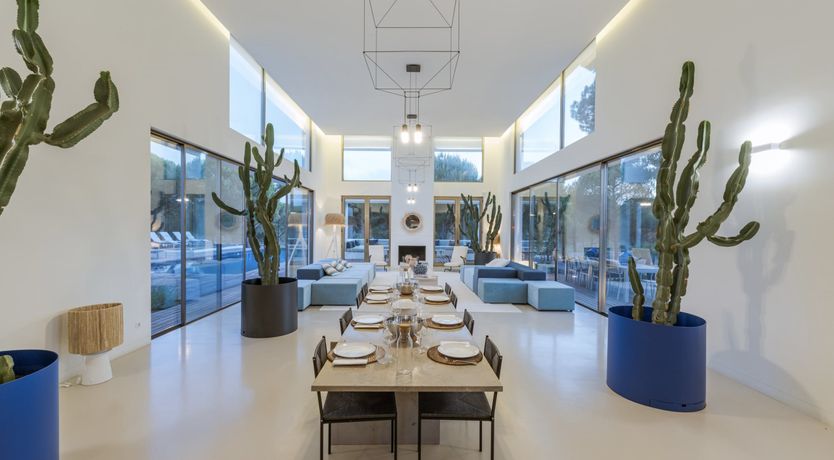 Photo of Finesse in the Forest