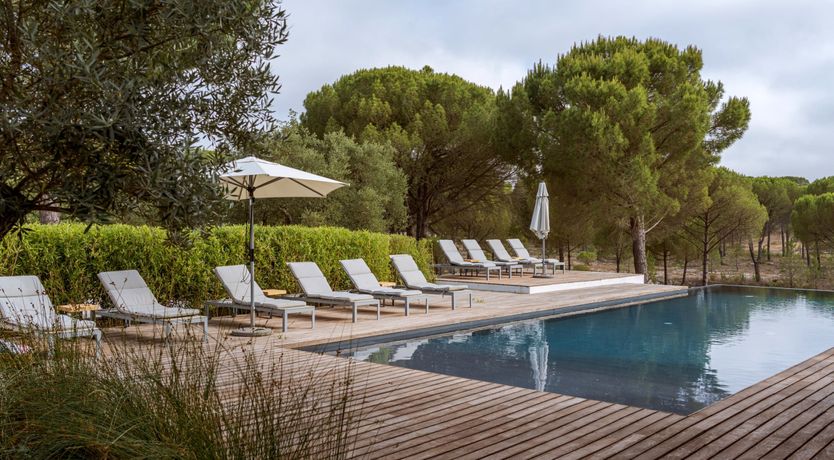 Photo of Finesse in the Forest