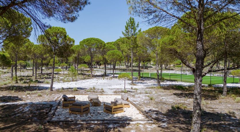 Photo of Finesse in the Forest