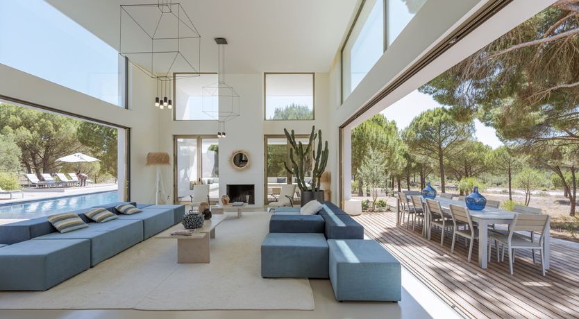 Photo of Finesse in the Forest