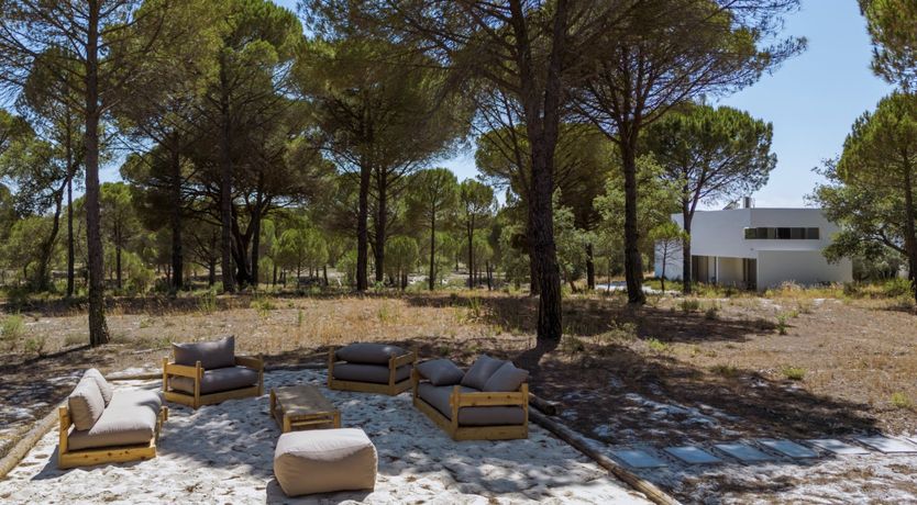 Photo of Finesse in the Forest