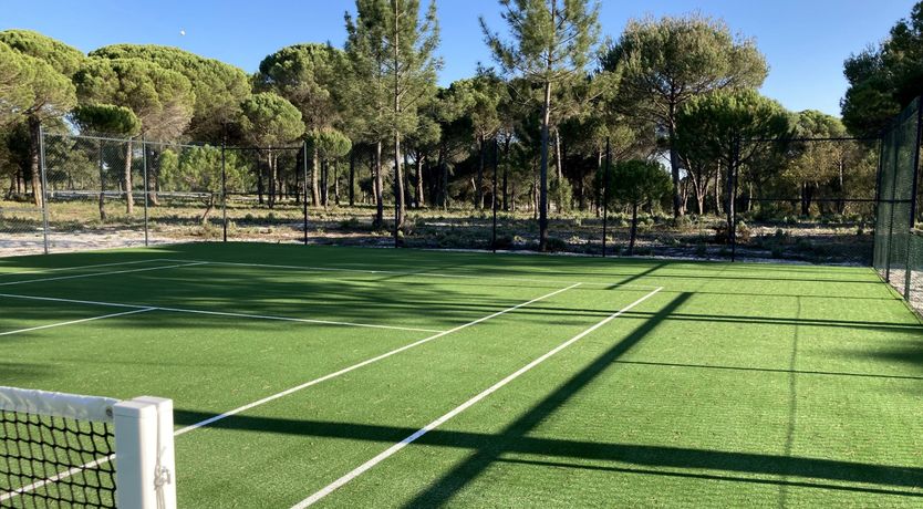 Photo of Finesse in the Forest