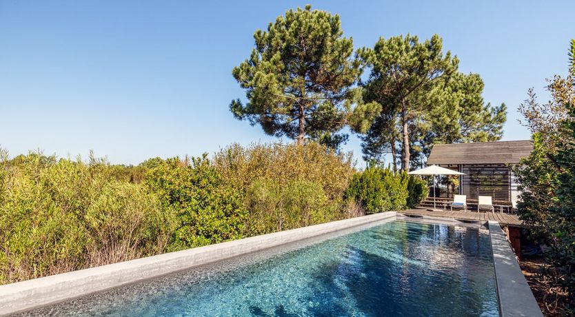 Photo of Wild West Coast