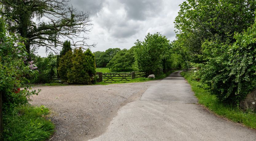 Photo of Tales from the Mabinogion