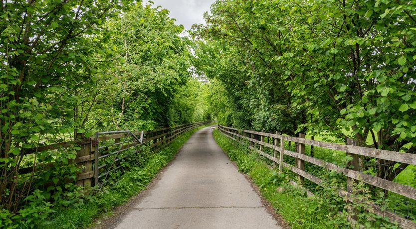 Photo of Tales from the Mabinogion