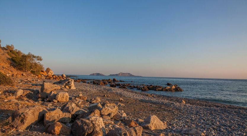Photo of Cretan Wilds