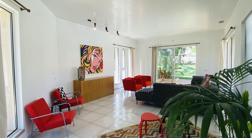 Photo of Seventies Vibes & Bougainvillea