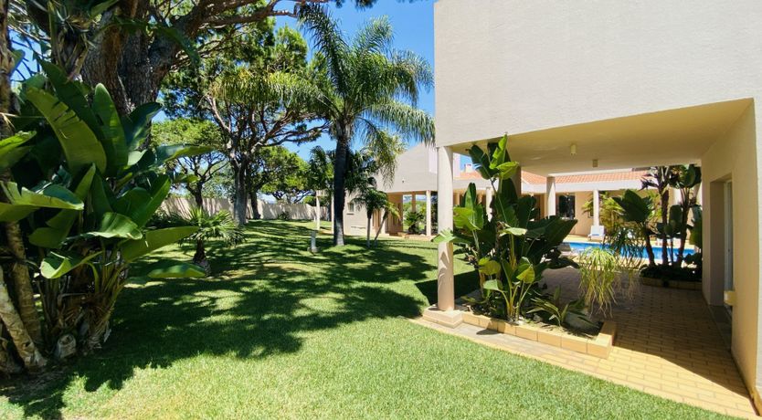 Photo of Seventies Vibes & Bougainvillea