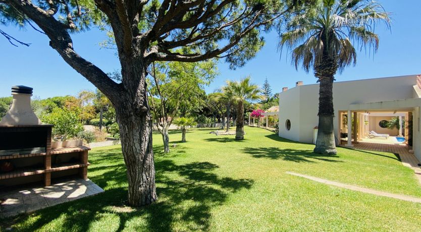 Photo of Seventies Vibes & Bougainvillea