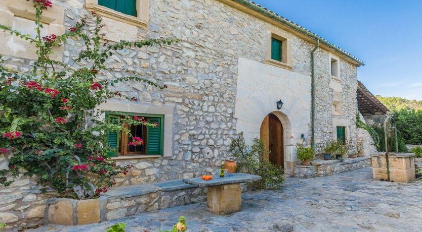 Photo of Down the Wishing Well