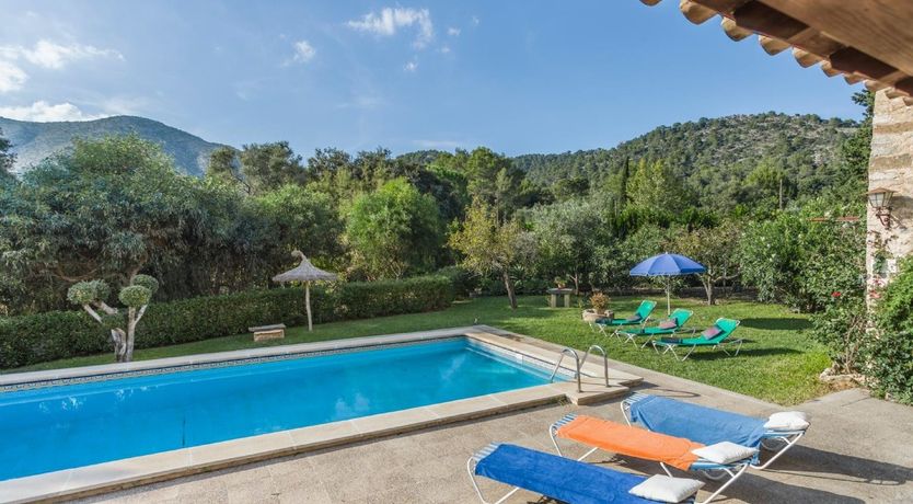 Photo of Down the Wishing Well