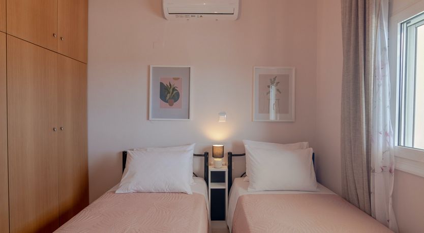 Photo of Phoenix Palms