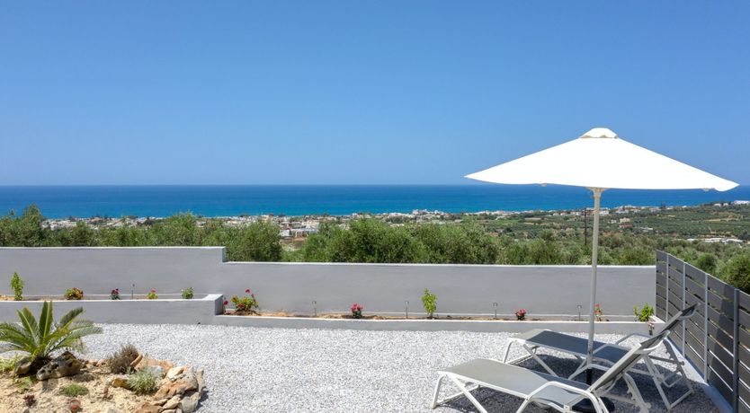 Photo of Phoenix Palms