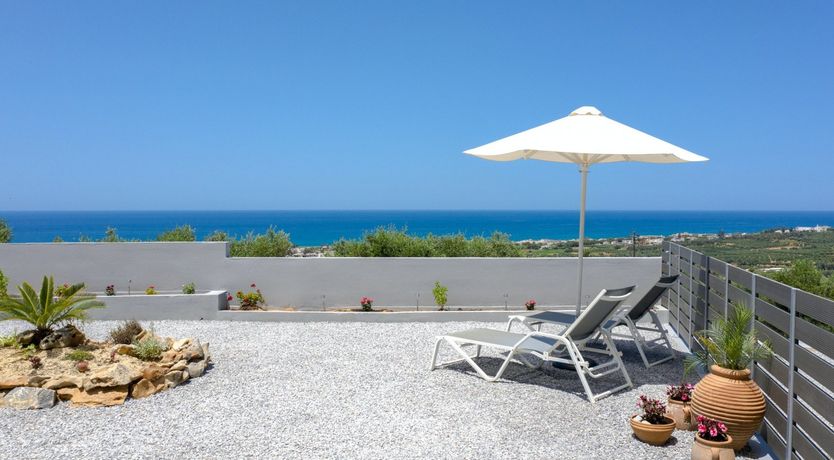 Photo of Phoenix Palms