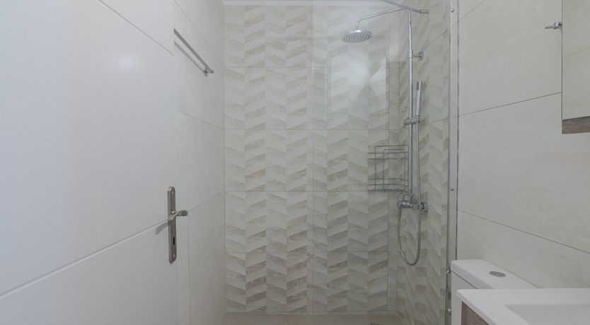 Photo of Phoenix Palms